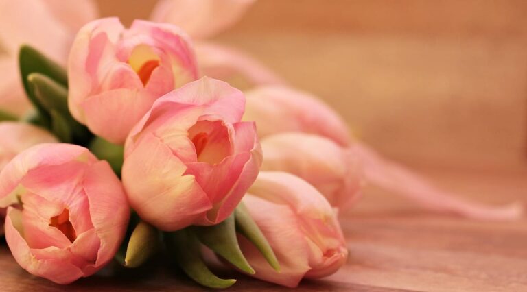 Comment sont faites les fleurs de cbd ?